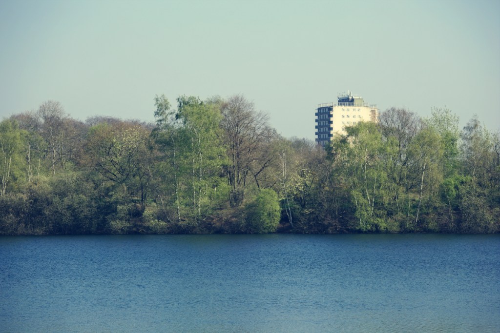 Asking Gemini More&nbsp;questions